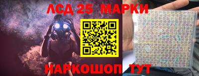 гидропоника Жуковский