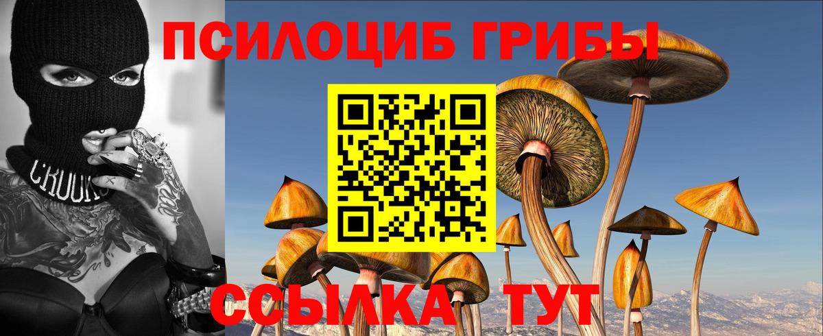 Бирск  Галлюциногенные грибы мицелий  цена наркотик  Вход с VPN 